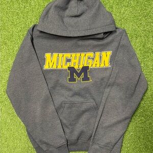 Unisex Michigan Pullover Hoodie